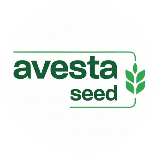 Avesta Seed